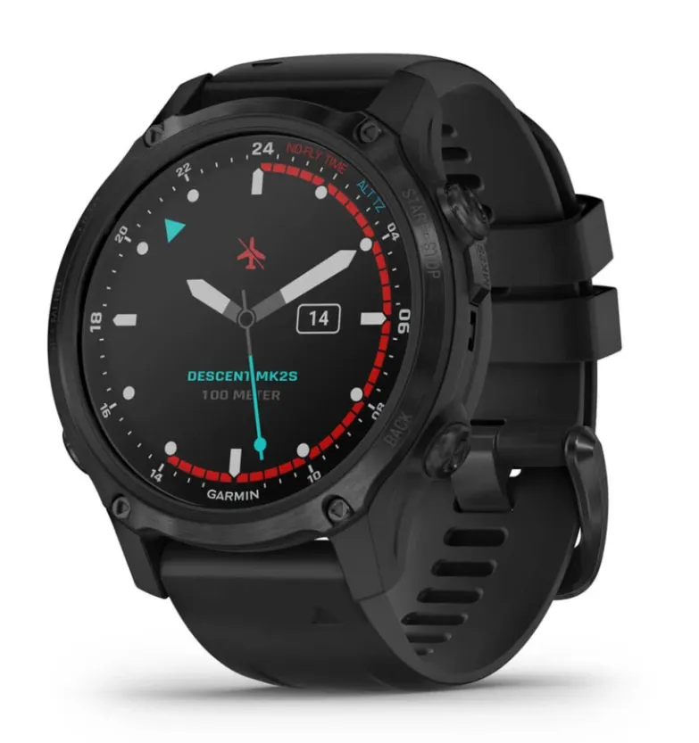Garmin mk2s