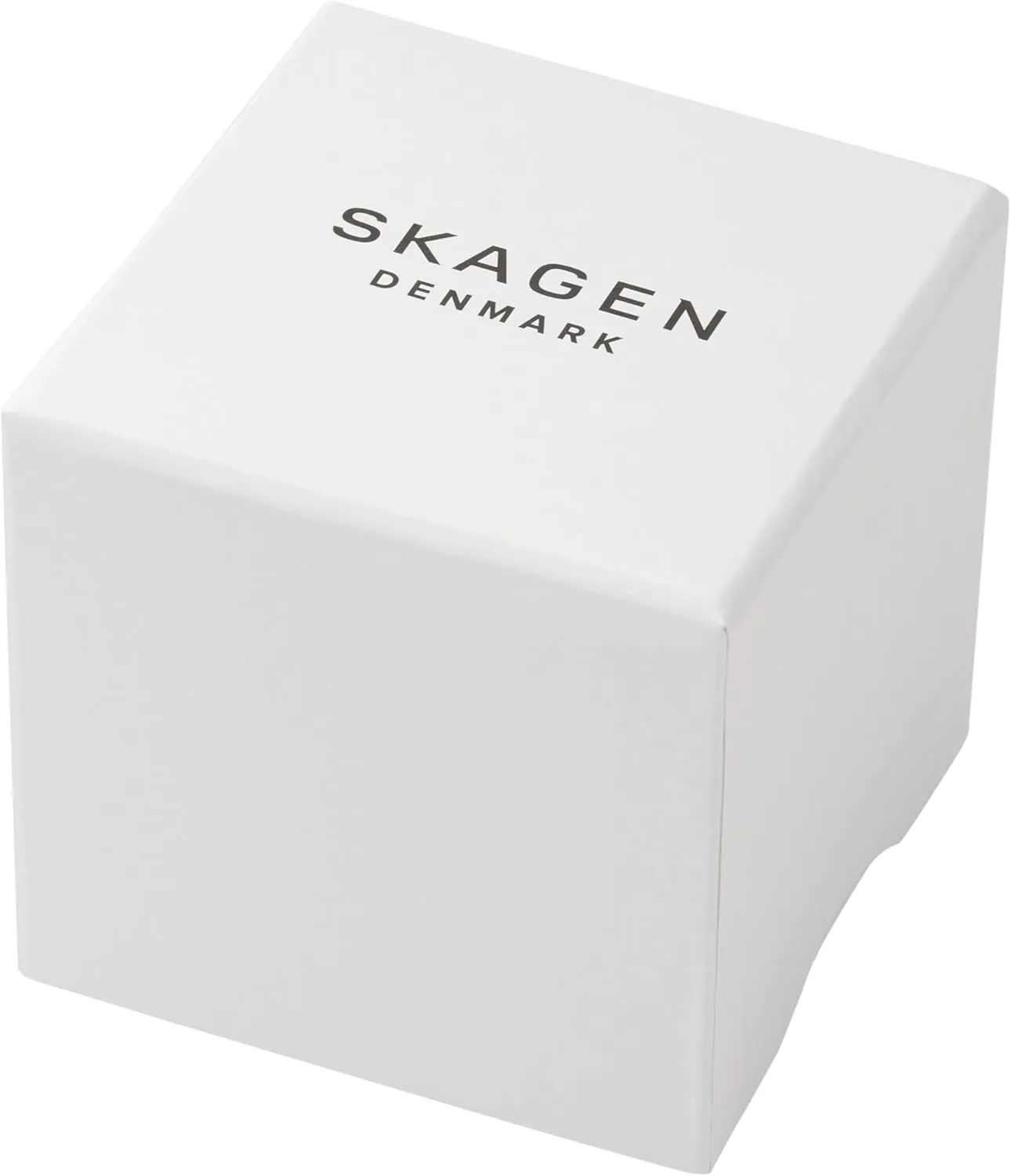 Skagen Women's Watch