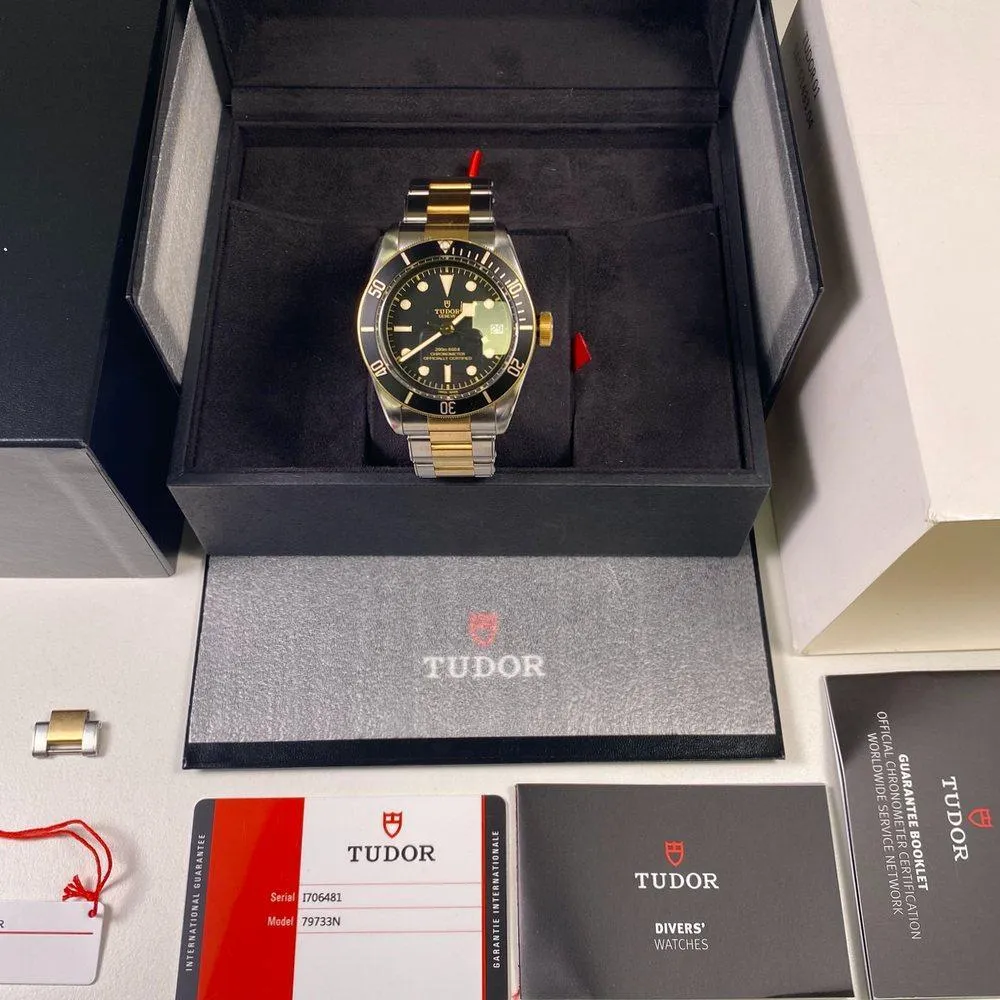 Tudor Heritage Black Bay Steel & Gold 79733N
