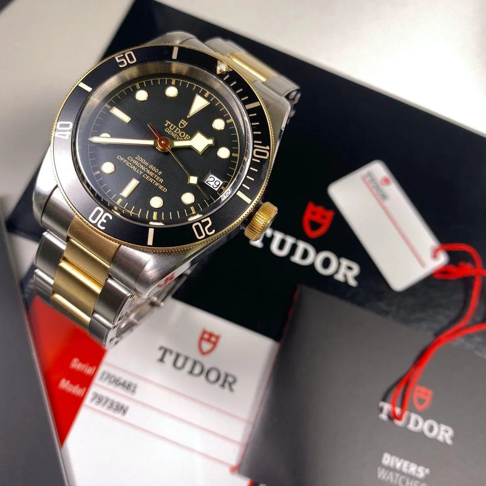 Tudor Heritage Black Bay Steel & Gold 79733N
